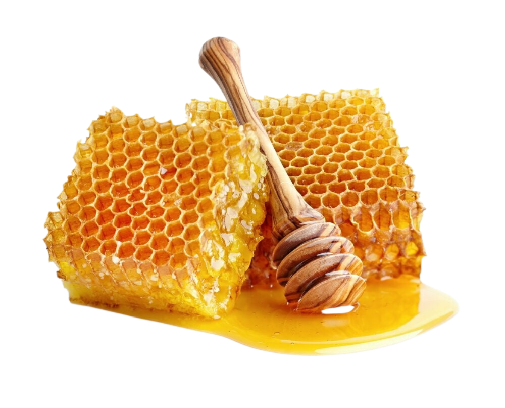 A piece of honeycomb and a honey dipper on a white background