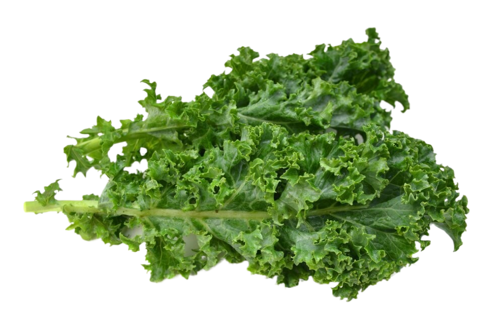 A bunch of green kale leaves on a white background