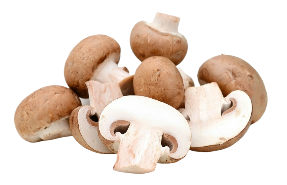 A pile of brown mushrooms on a white background
