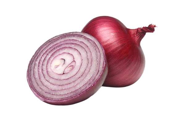 A red onion is cut in half on a white background