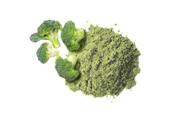 A piece of broccoli with broccoli powder on a white background