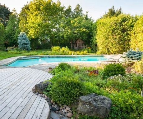 A sunlit backyard with a curved wooden deck, a swimming pool, lush green trees, shrubs, and a small wooden structure.