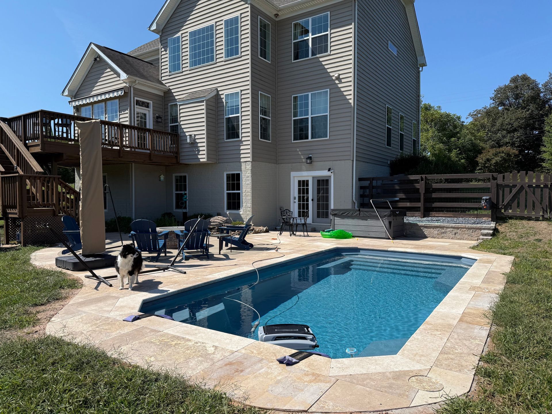 A backyard scene with a rectangular inground pool, stone patio, wooden deck, a house, and a small dog standing on the lawn.