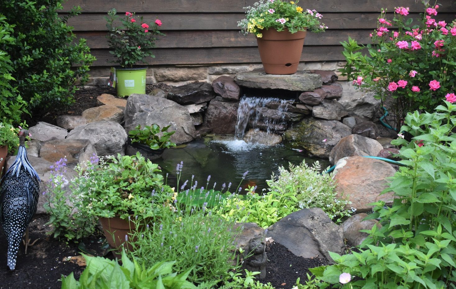 A small rock waterfall flows into a backyard pond surrounded by potted plants, garden greenery, and a decorative bird.