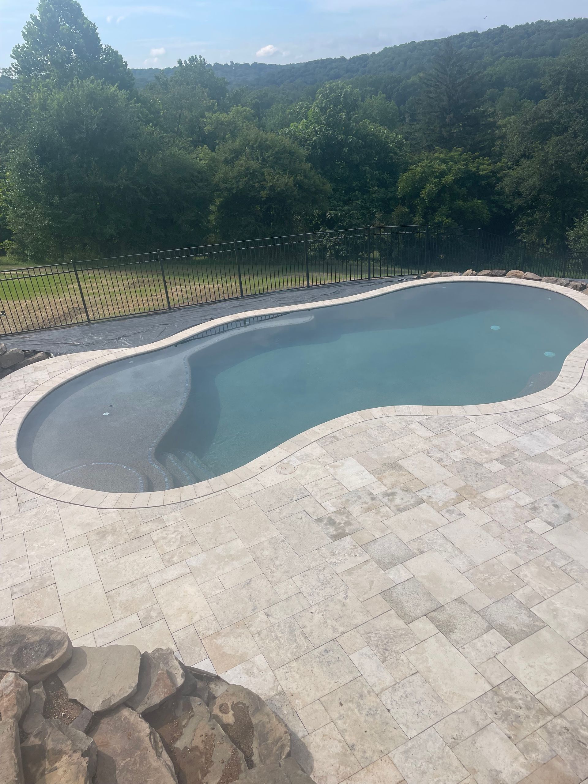 An irregularly shaped swimming pool with stone pavers, surrounded by a metal fence and a lush forest background.