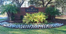 Mr Gutter Inc Provides Full Gutter Services in Westchase, Florida - From installation to cleaning to repair