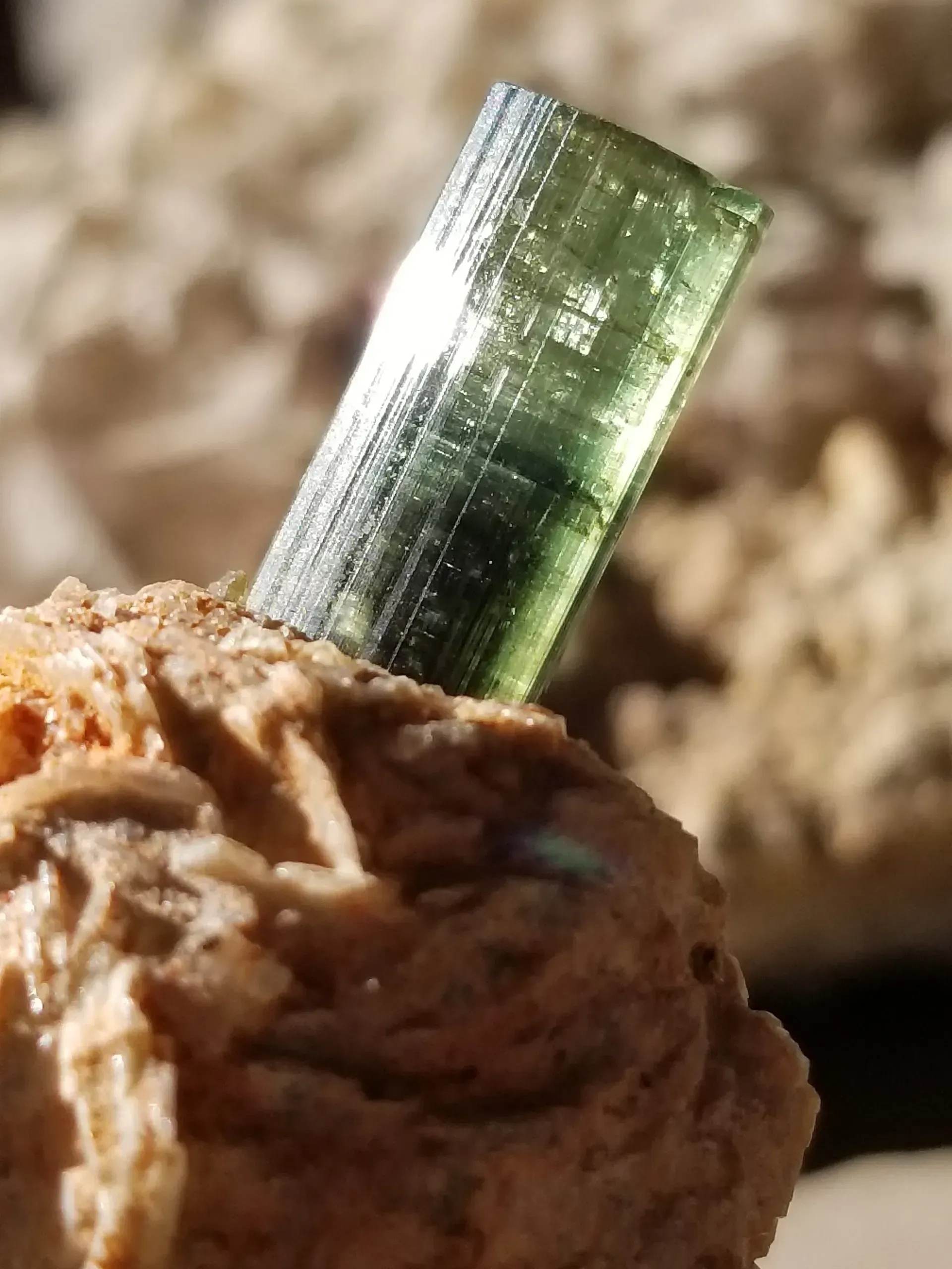 Close-up of a green crystal protruding from a tan rock surface.