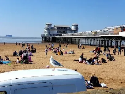 Seagull perched on a van roof, beachgoers near a pier on a sunny day.