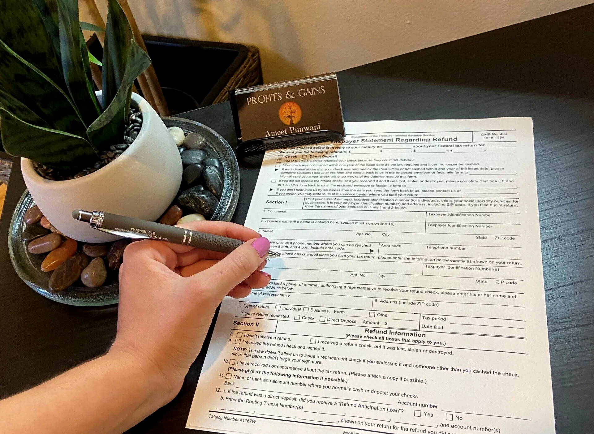 Accounting Services | Wesley Chapel, FL | Profits and Gains