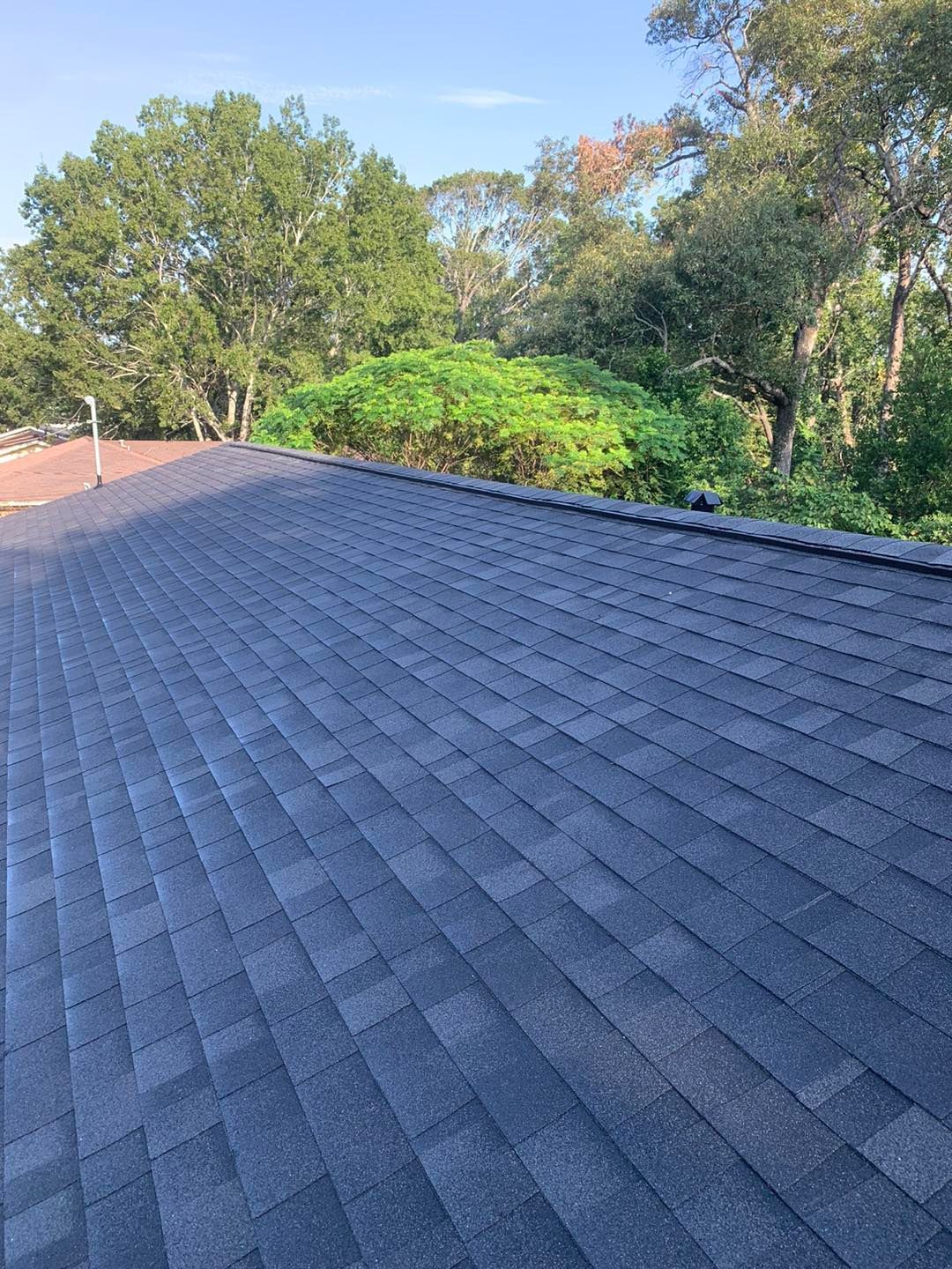 A roof with a lot of shingles and trees in the background.