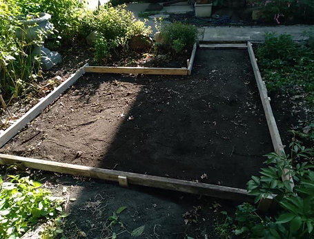 A garden with wooden borders and a lot of plants