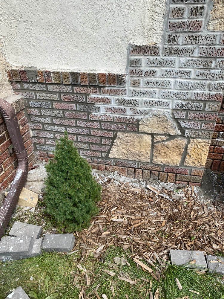 A small tree is growing next to a brick wall.