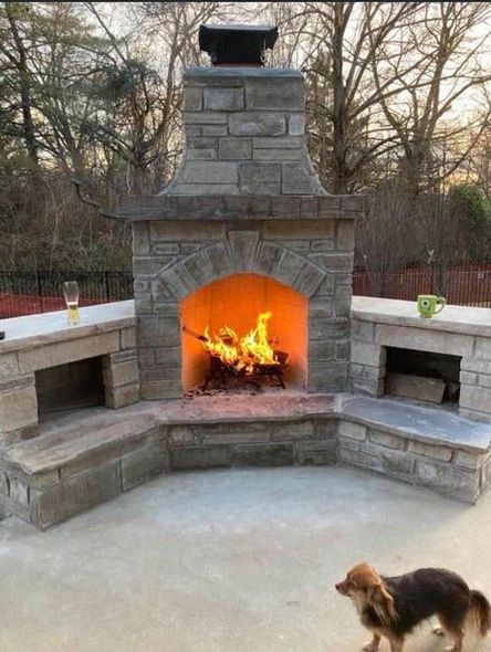 A dog is standing in front of a fireplace.