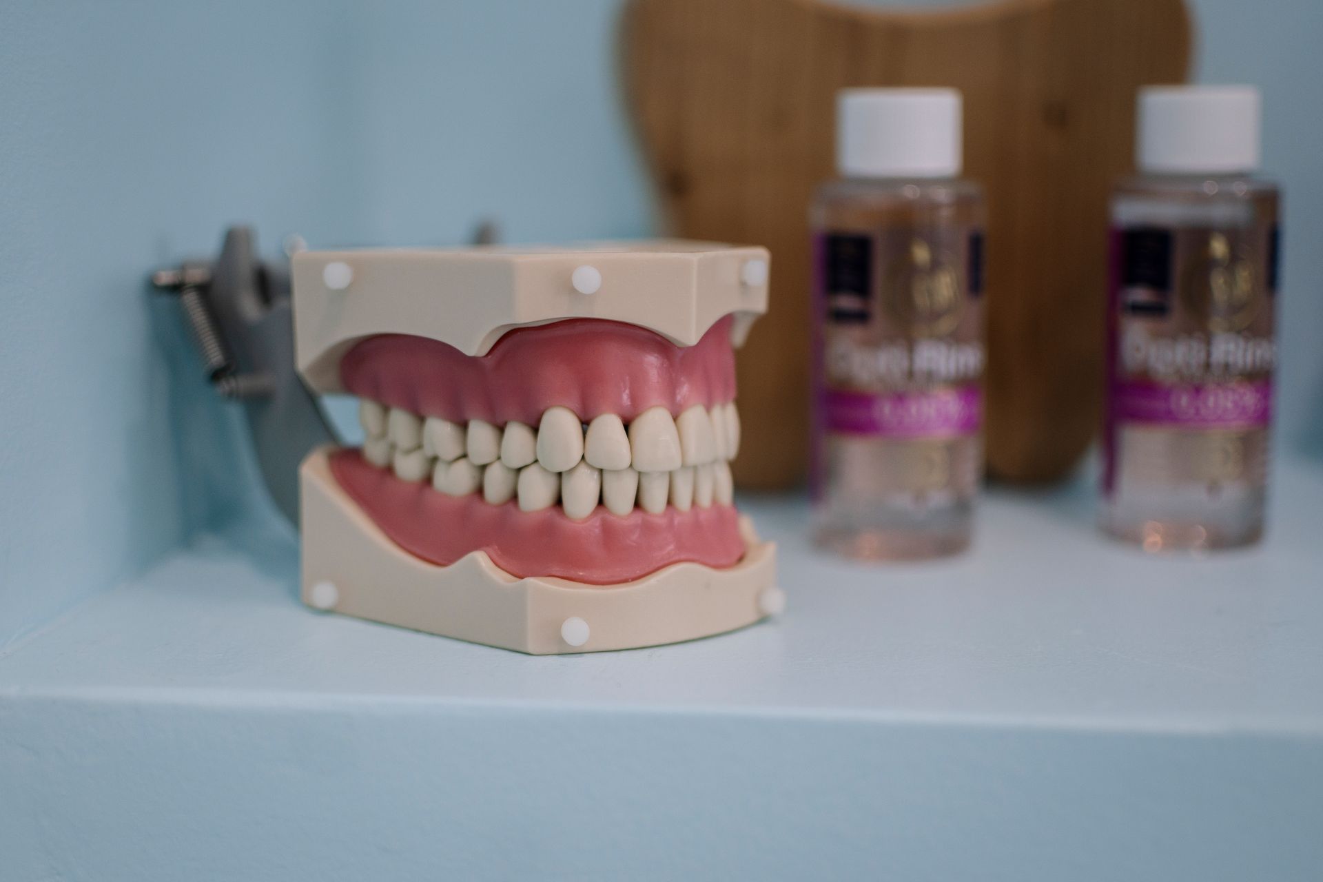 Harbour Grace Dental Hygiene