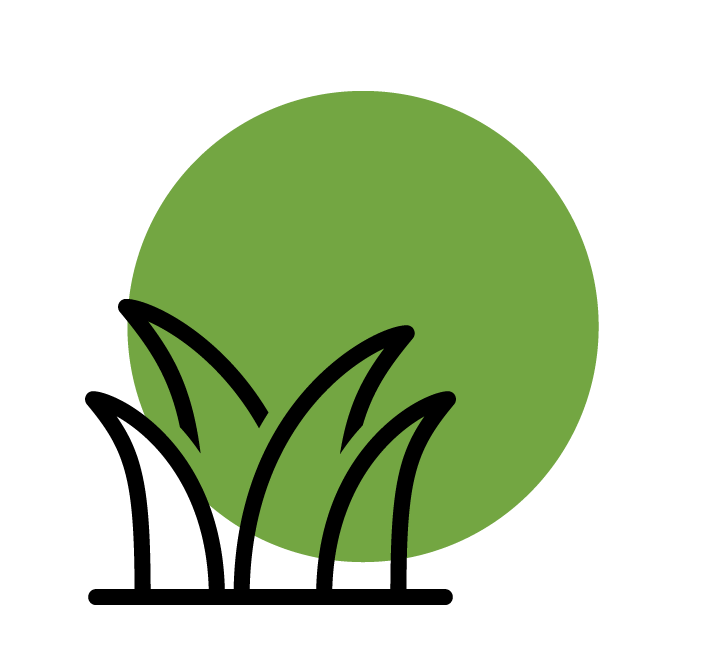 Grass Icon