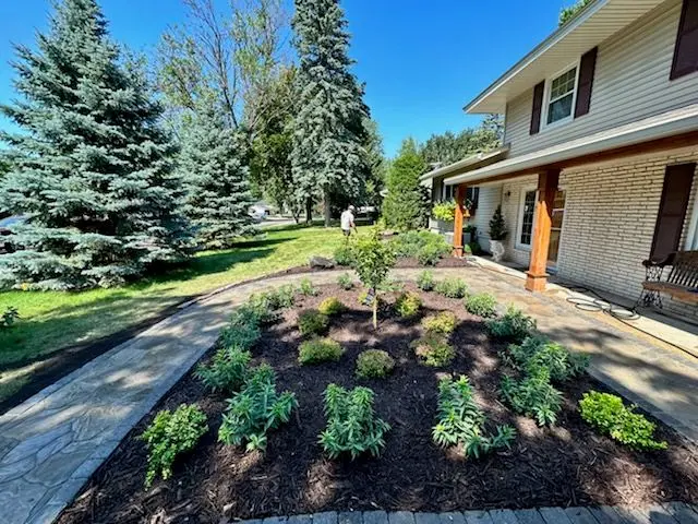 Landscaped front yard with new plants, mulch, and walkway, near a house with trees.