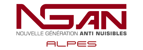 logo de l'entreprise ngan
