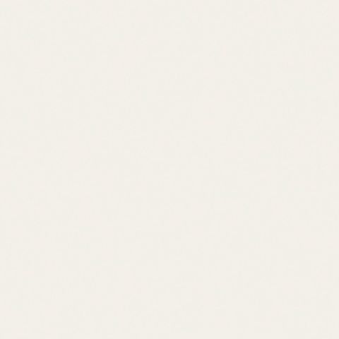 Et nærbillede af en hvid baggrund med en almindelig tekstur.