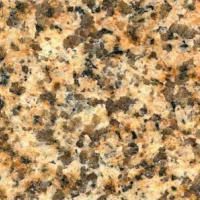 Et nærbillede af et stykke granit med en masse små sten på.