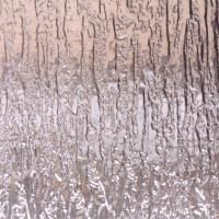 Et nærbillede af et glasvindue med en afspejling af træer i det.