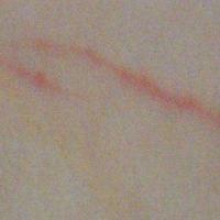 Et nærbillede af et stykke papir med en rød streg på.