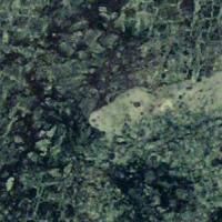 Et nærbillede af en grøn marmoroverflade med en leopard camoufleret i baggrunden.