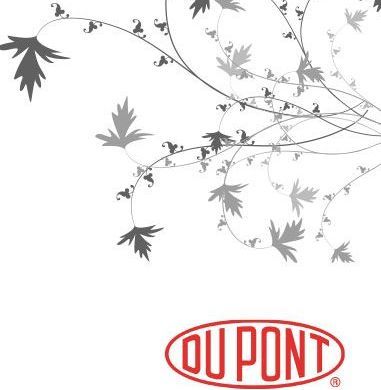 En hvid baggrund med en rød oval, der siger ou pont