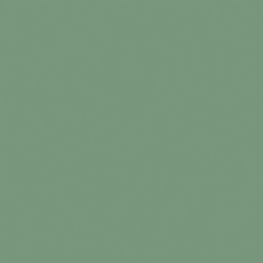 Et nærbillede af en almindelig grøn baggrund.