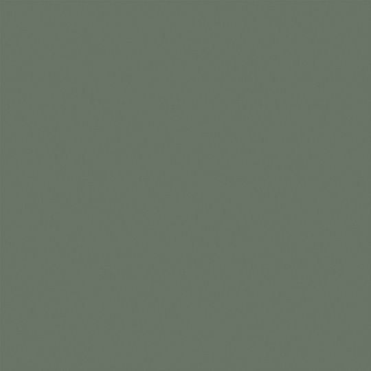 Et nærbillede af en almindelig grå baggrund.