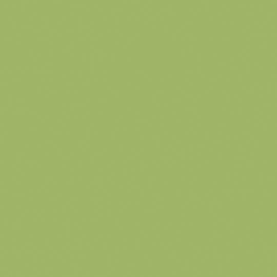 Et nærbillede af en lysegrøn baggrund.