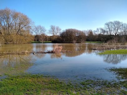 The Pinnacle Climbing Centre