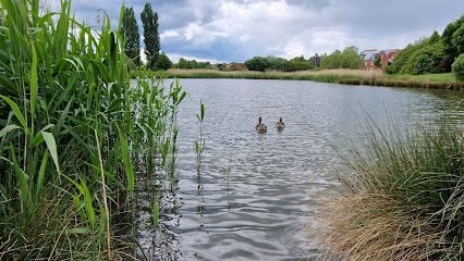 The Pinnacle Climbing Centre