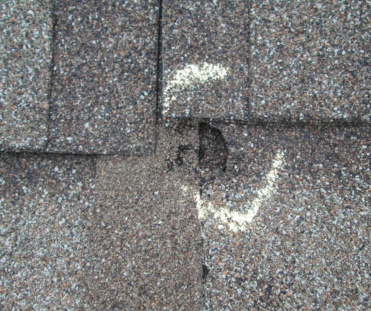 A close-up image of a shingle roof area that is damaged and circled with chalk from the professional roofing inspection.