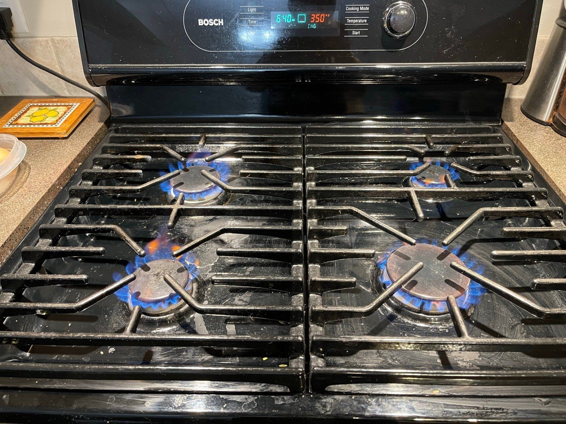 Burner Diagnosis and Service