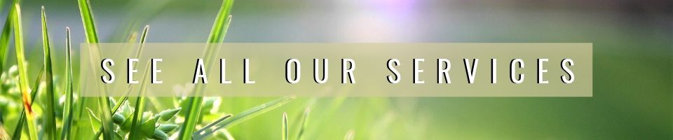 See all our services text over a green grass background