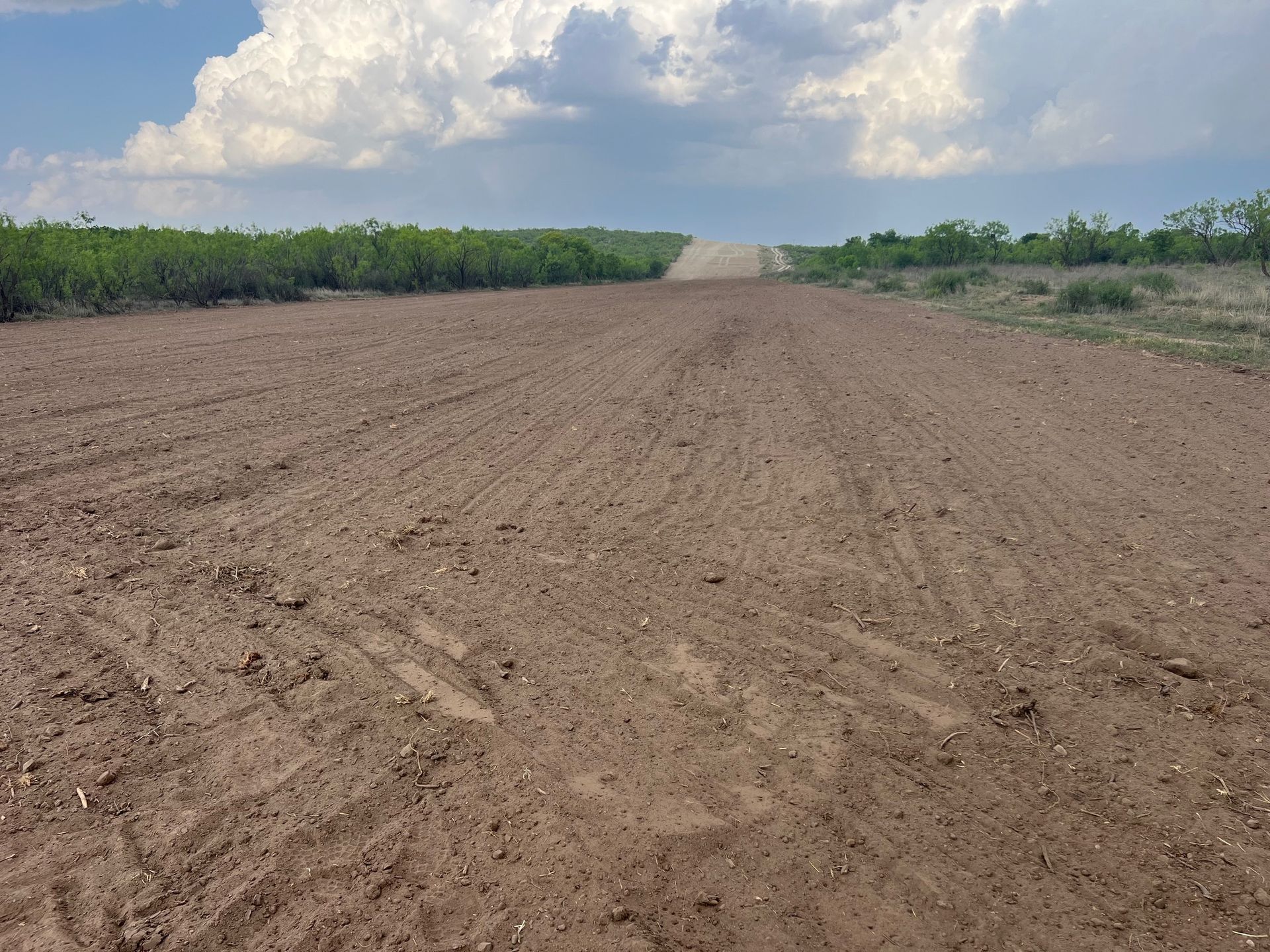 A dirt road going through a field with trees in the background