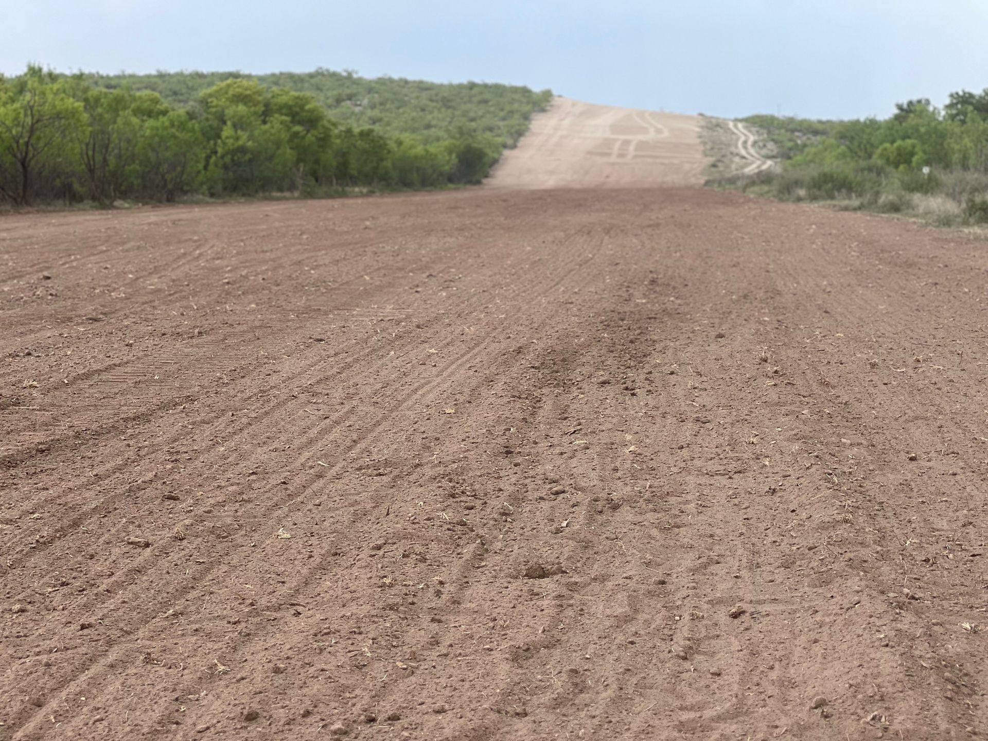 A dirt road is going through a field with trees in the background.