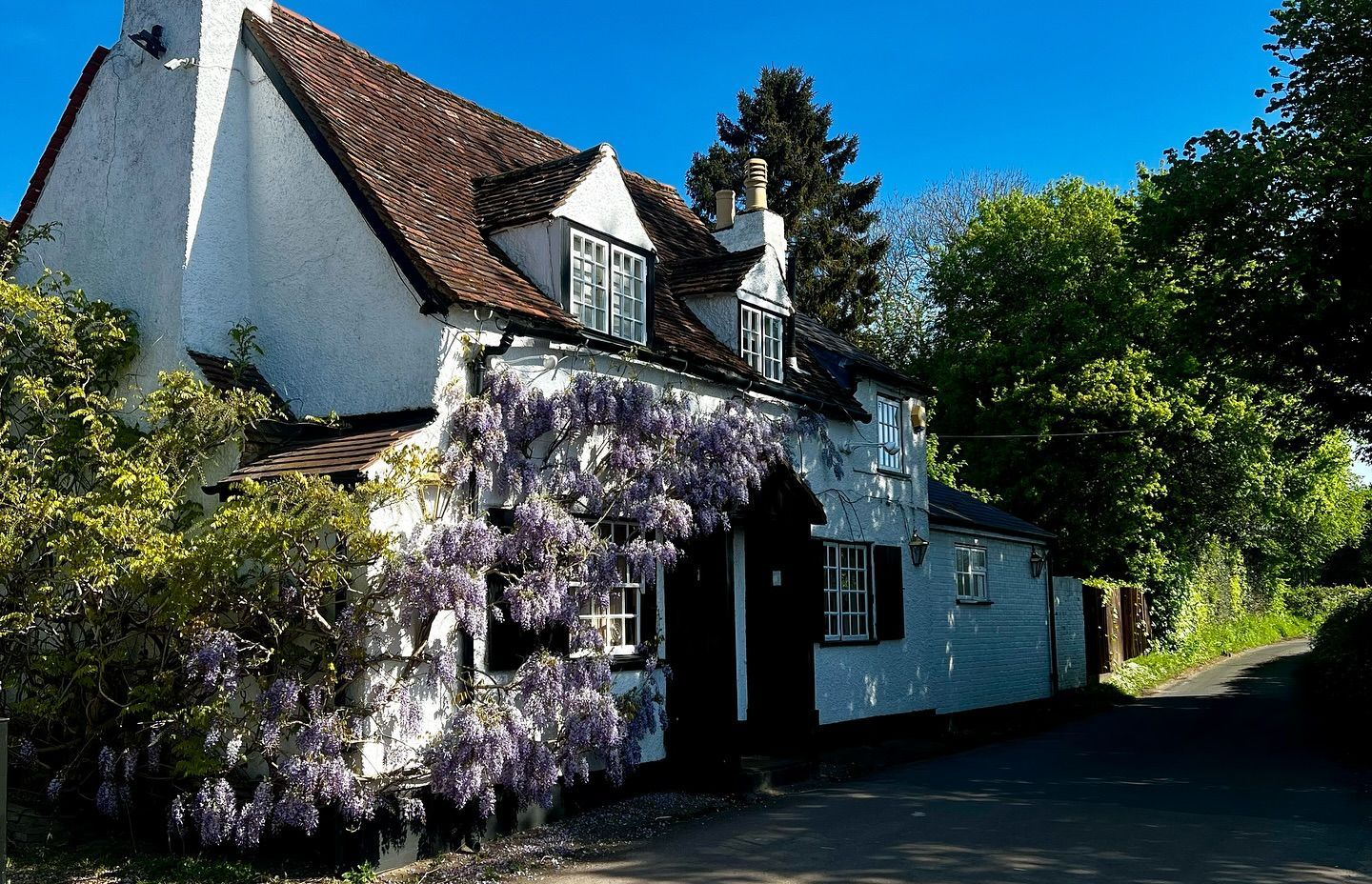 The Holly Bush, St. Albans | Website Home Hero Image