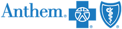 A blue anthem logo with a cross and shield