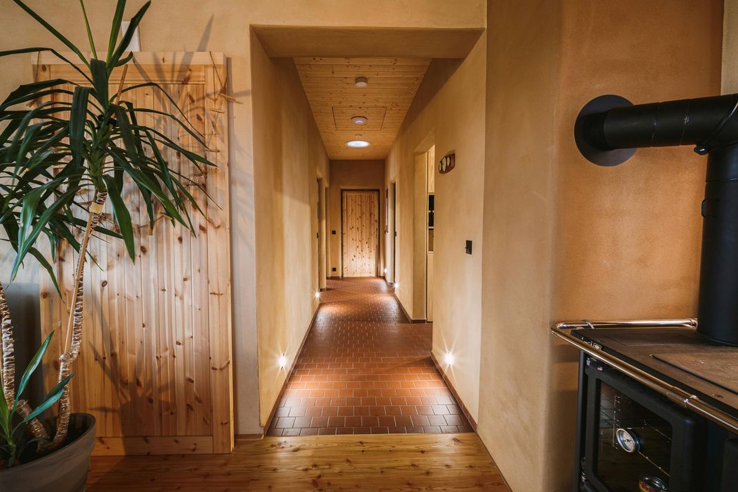Hallway with wood floors, walls, and doors. A plant and wood stove are visible.