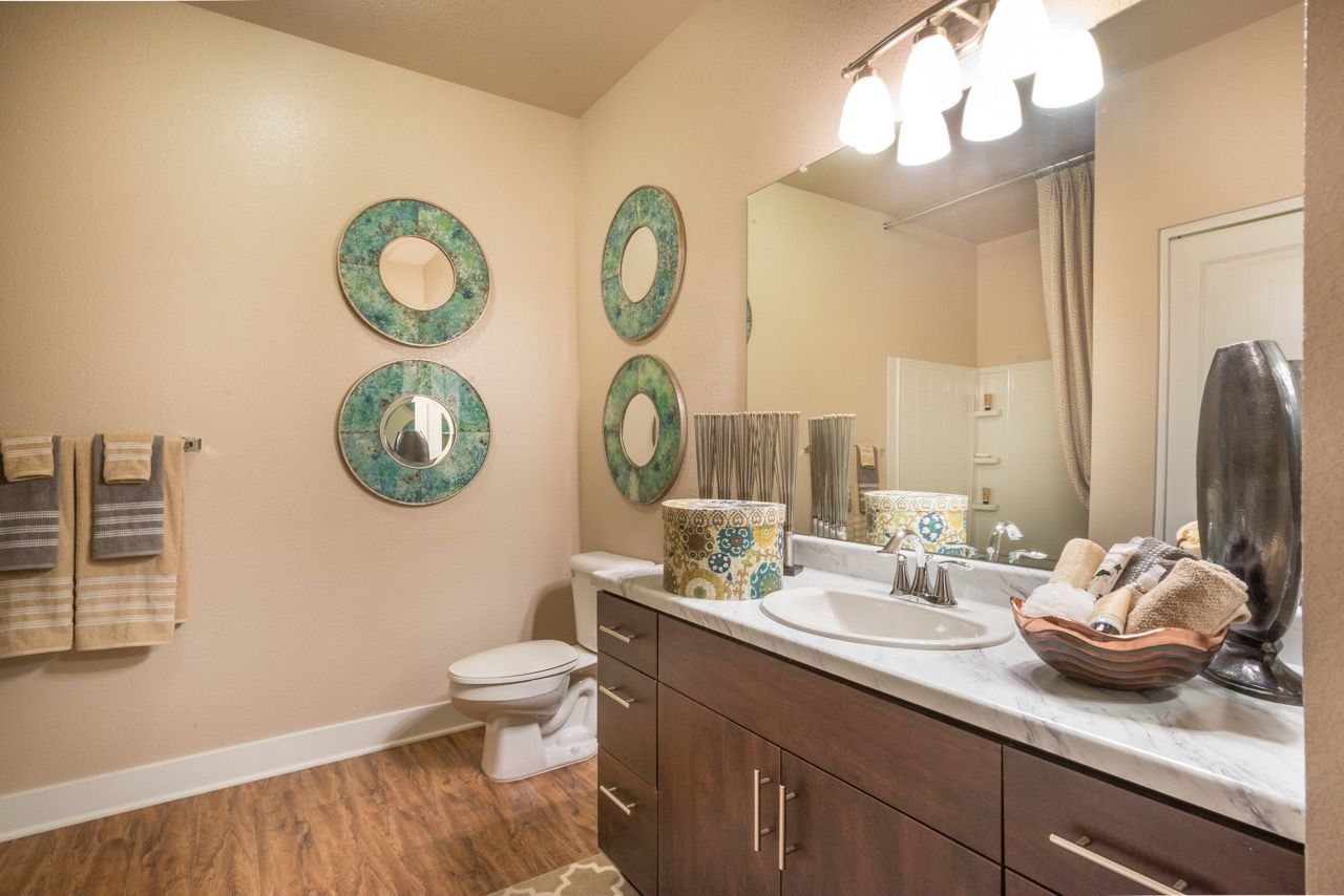 Bathroom vanity with sink, mirror, towels, and teal wall decor.