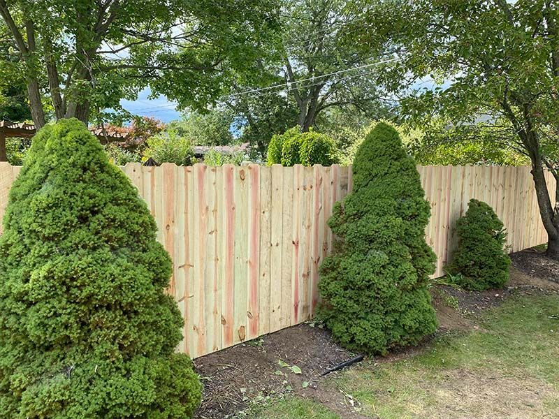 A wooden fence is surrounded by trees and bushes in a yard.
