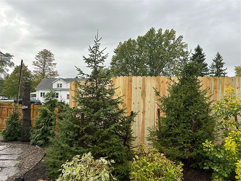 A wooden fence surrounded by trees and bushes with a house in the background.
