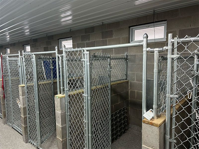 A row of dog kennels with chain link fences and brick walls