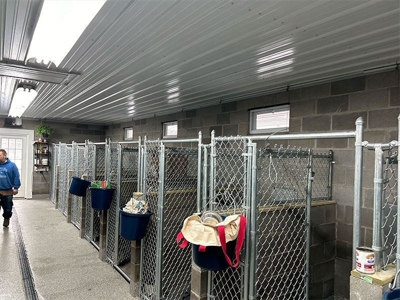 A man is walking through a dog kennel with a chain link fence.