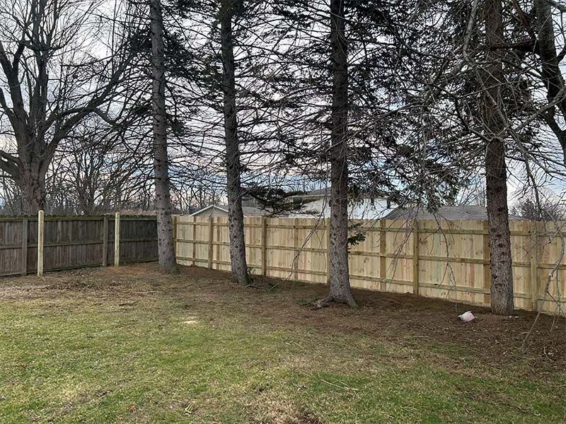 A wooden fence is surrounded by trees in a backyard.
