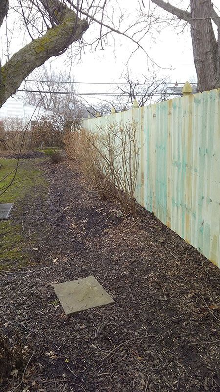A wooden fence surrounds a dirt path in a backyard.