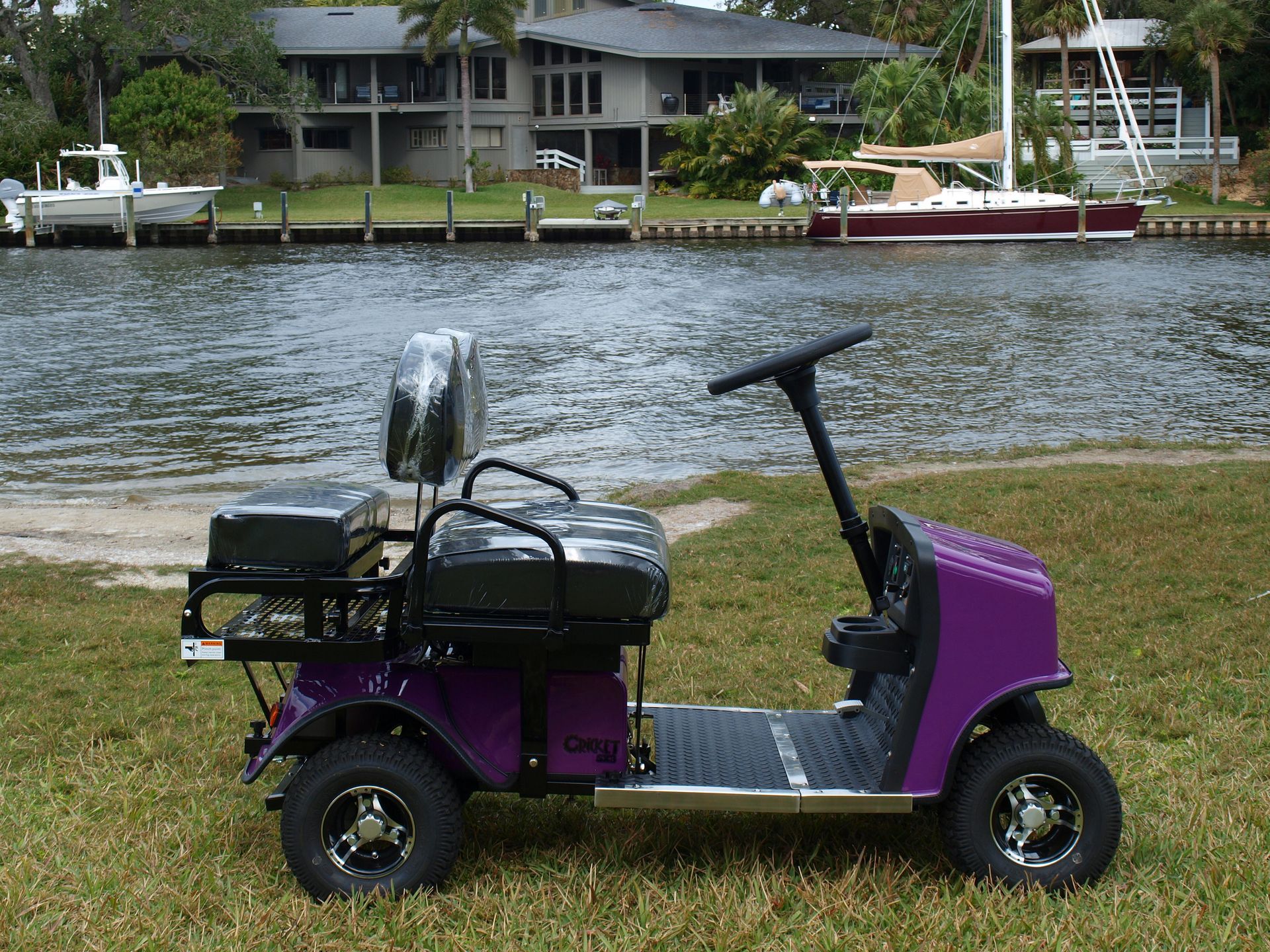 A purple golf cart is parked in front of a body of water