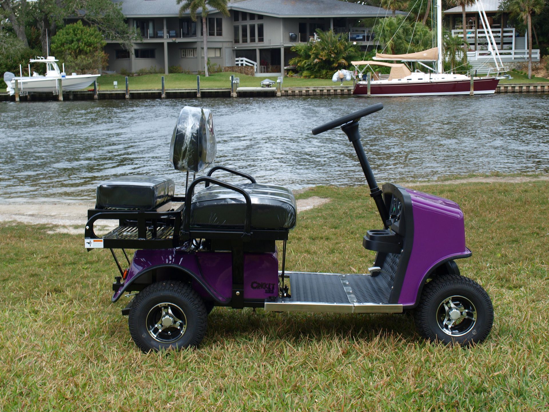 A purple golf cart is parked in the grass near a body of water