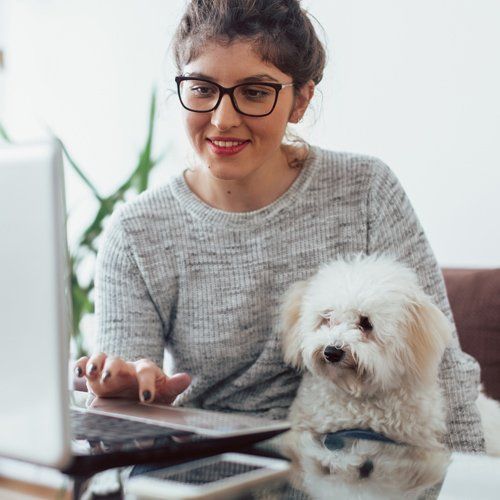 Employee With Reliable Pet Insurance — Auburn, NY — Advanced Business Consulting